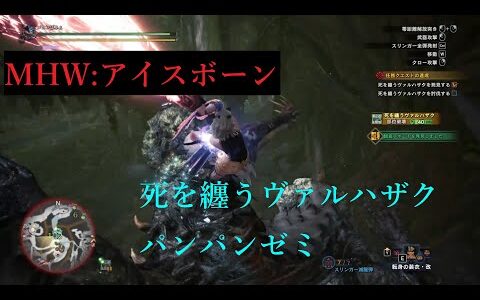 【MHWIB】死を纏うヴァルハザク　スラアク　パンパンゼミ　【モンスターハンターライズ】待ちリハビリ