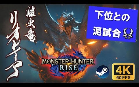 【STEAM版】超高画質4K60FPS　下位リオレイア戦【モンスターハンターライズ】双剣で世紀の泥仕合・・・