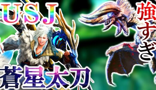 【モンハンライズ】『新USJ太刀』で重大事変ヌシディアに挑んだ結果...