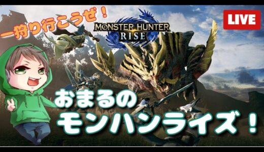 【steam】おまるのモンハンライズ【適当】