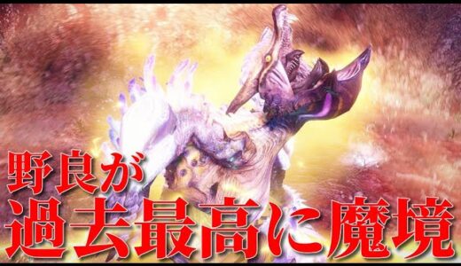 野良の強化淵源ナルハタが過去最高に魔境と聞いて【モンハンライズ】