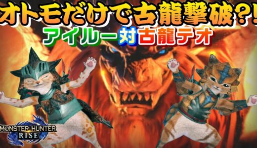 【モンハンライズ】オトモだけで古龍撃破？！アイルー対テオを検証するモンハンライズ【モンスターハンターライズ】【オトモ】