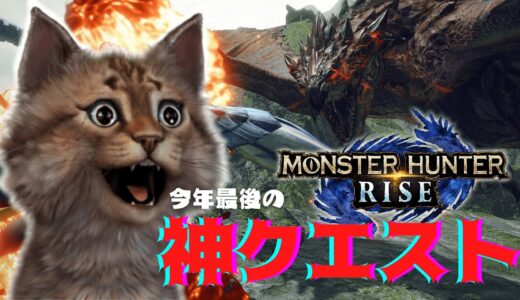 【モンハンライズ】ヌシリオレウス重大事変が楽しすぎる！
