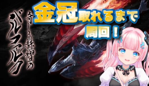 【モンハンライズ】金冠取れるまでバルファルク周回するよ！【参加型】