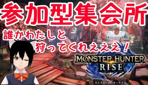 【モンハンライズ】2クエ交代の参加型モンハンライズ！笛の練習する！いい装備があ多々良おしえてくれええ！