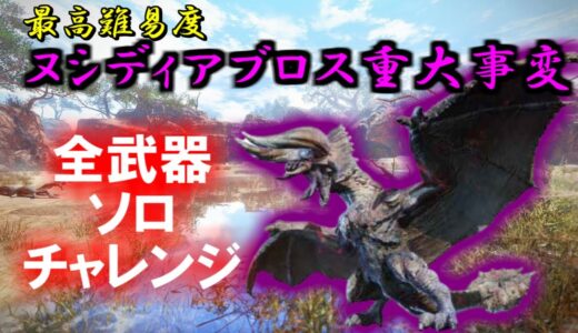 2/1　ヌシディアブロス重大事変　全武器ソロチャレンジのタイムを縮めたい