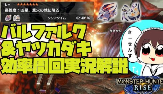 【MHRise】バルファルク&ヤツカダキ効率周回実況解説動画【モンスターハンターライズ】