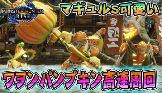 ワヲンパンプキン高速周回！マギュルＳ可愛い♡装備紹介『モンスターハンターライズ 』RISE