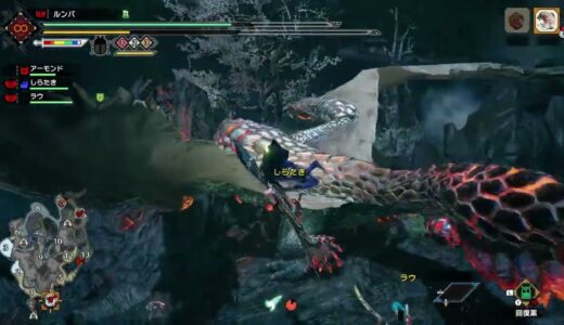 最善の行動をとるハンターたち【モンハンライズ】
