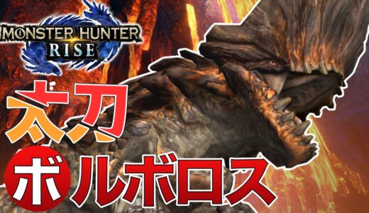 【モンハンライズ】ボルボロス初見太刀ソロ