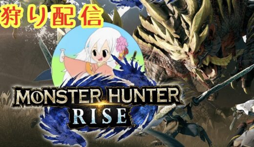 【モンハン】ライズ狩猟配信　四狩目
