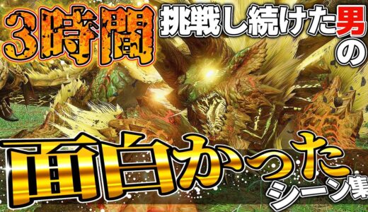 ヌシジンオウガ勝てない人向け、面白かったシーン集【モンハンライズ】