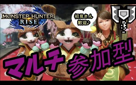 HR上げでもしますかな【モンハンライズ】