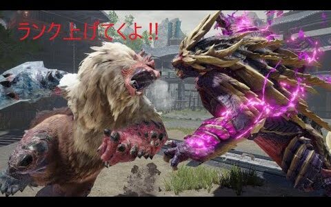 【モンハンライズPC版】ランク上げ行くぞ‼