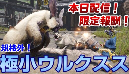 【モンハンライズ】限定報酬＆極小サイズ！ウルクススだと思ったらブンブジナだった「最小雪主、あらわる！」【モンスターハンターライズ】