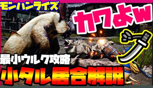 【モンハンライズ】可愛いすぎｗｗ最小ウルクスス太刀攻略してみた※小タル居合解説付き【太刀】