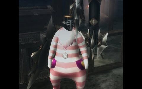 モンスターハンターライズ　村クエ挑戦配信　その１１