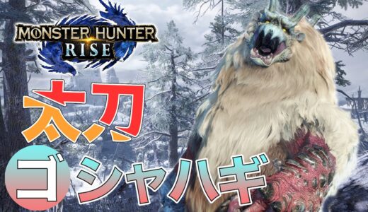 【モンハンライズ】ゴシャハギ初見ソロ太刀