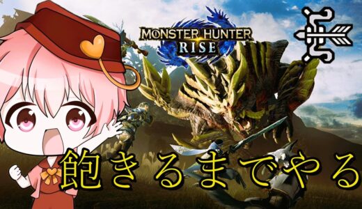 初見さん大歓迎！飽きるまでモンハンやる【モンスターハンターライズ】