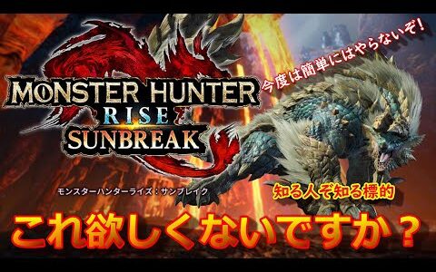 【モンハンライズ】モンスターハンターライズサンブレイクに導入を願う物！皆さんはこれ欲しくないですか？【モンスターハンターライズ】MHRise 　CAPCOM  GAME