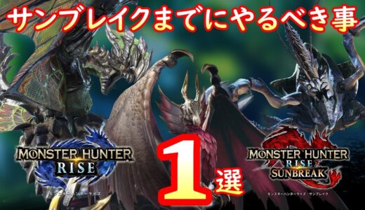 【MHRise】サンブレイクまでに本当にやるべき事1選【ライズ】