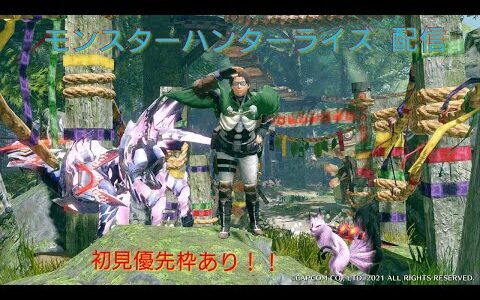 【Switch版モンハンRISE】跳躍系ライトボウガン使いの配信 [視聴者参加] [初見さん初心者さん大歓迎] [乱入参加OK]
