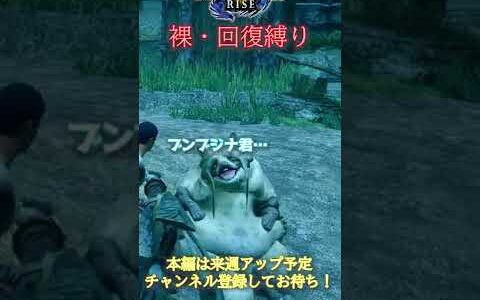 裸/回復縛りのモンハンライズ！絶望的な防御力…