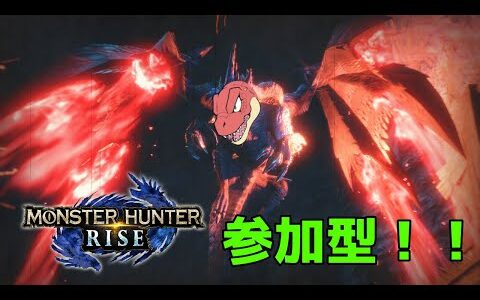 モンハンライズ参加型～いろいろ装備のために～【モンスターハンターライズ】