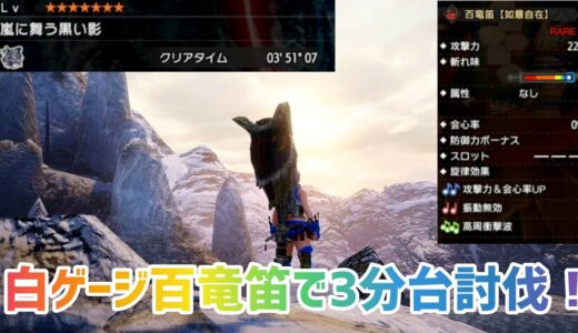 【モンハンライズ】ダメージ管理によって狩猟笛にハメ倒されたクシャルダオラ。 / Kushala Daora Hunting Horn Solo