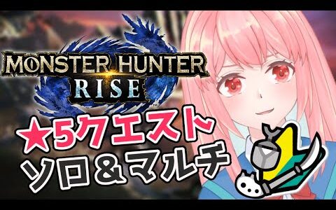 【MH:RISE】RISEをRIZEだと思ってた系配信者【モンハンライズ】