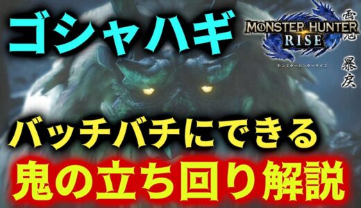 ゴシャハギをサンドバックにできる立ち回り解説【モンハンRISE】