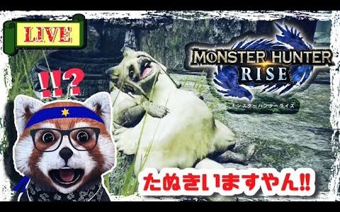 【SWITCH】モンスターハンターライズ【PC配信してみた】