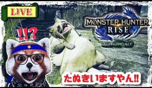 【SWITCH】モンスターハンターライズ【PC配信してみた】