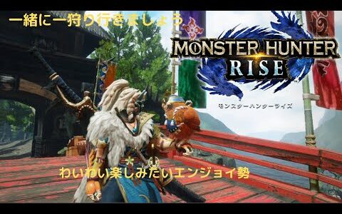 【Switch版：モンスターハンターライズ】今からやっても遅くない！弓と太刀の練習と装飾品作りと神おま用装備作りたい