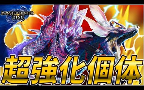 超強化されたヌシタマミツネが暴れたらそりゃヤバいんだわ【モンスターハンターライズ】