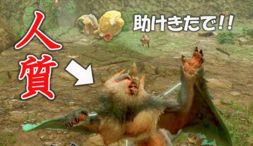 【モンハンライズ】操竜された仲間を救出するモンスター