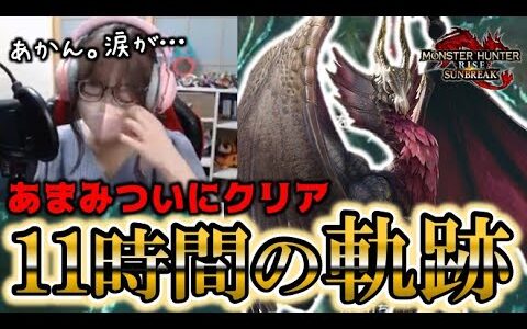 【残り2秒】あまみ、11時間の激闘の末に超高難度メル・ゼナをクリアする【MHサンブレイク体験版】