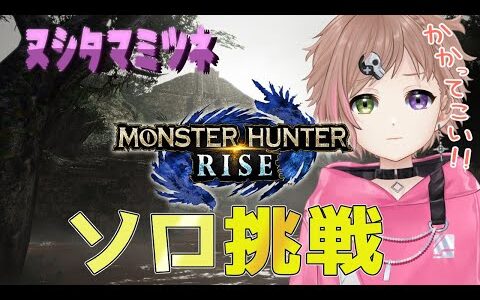 【モンハンライズ】朝のソロ練習、略して朝練～ヌシタマミツネ変～
