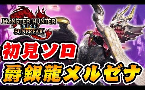 メル・ゼナに初見ソロで挑む男【モンハンサンブレイク】