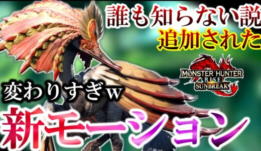 誰も相手にしない”モンスター達”の新モーション探ってみたｗ【モンハンライズサンブレイク】