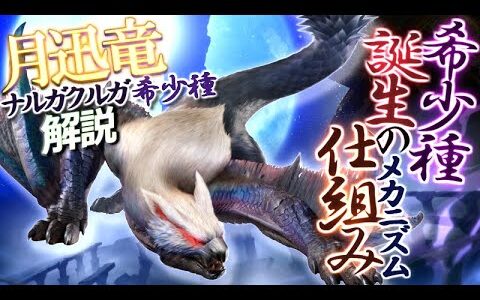 【モンハン設定解説】”月迅竜 ナルガクルガ希少種”ってどんなモンスター？「最新の資料集より希少種 誕生の理由が遂に判明！」【サンブレイク/モンハン解説シリーズ】