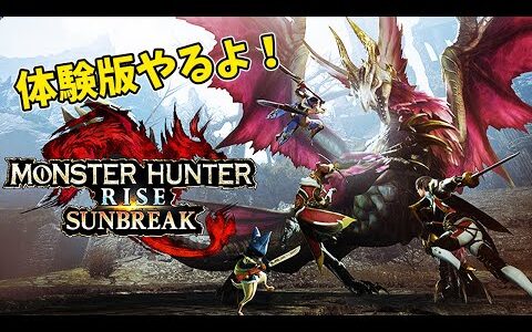 リハビリにお付き合い下さい『モンスターハンターライズ：サンブレイク』【体験版】