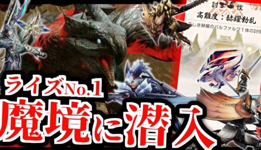 現在ライズで一番魔境と言われるクエスト『赫耀動乱』の野良マルチに潜入したら面白すぎたｗｗｗ【モンスターハンターライズ】