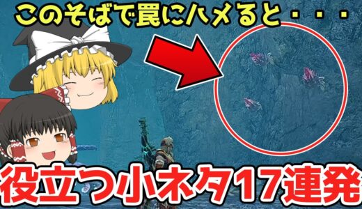 全ハンター必見！知っておくと役立つ小ネタ17連発【モンスターハンターライズ：サンブレイク】