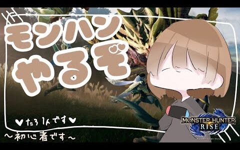 【モンハンライズ】初心者がモンハンやってみる　その9【MONSTER HUNTER RISE】