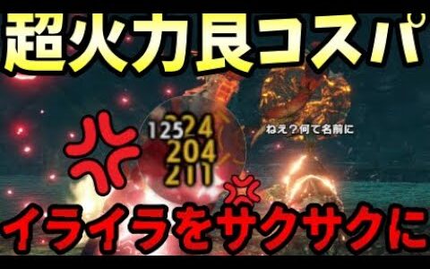 イライラ】最も嫌われてるアイツをぶっ壊れ火力で交易節約討伐する為のヘビィ【MHRise:SB】【モンハンライズ：サンブレイク】