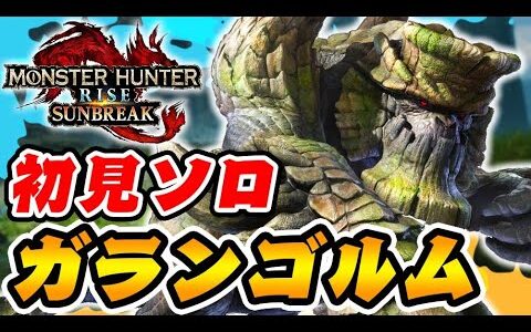 ガランゴルムに初見ソロで挑む男-PART2-【モンハンサンブレイク/全クエ制覇を目指して】