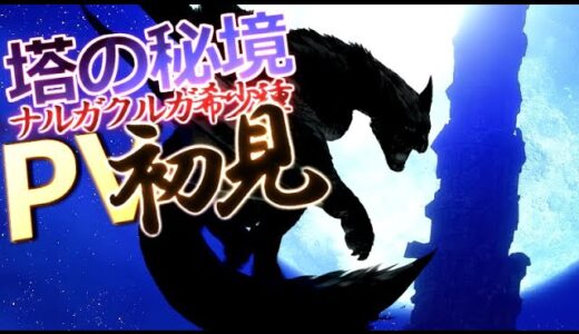 【サンブレイク】全人類が待ち望んだ「塔の秘境＆ナルガクルガ希少種」のお披露目！PV初見反応します！！！素晴らしい【モンハンPV初見】