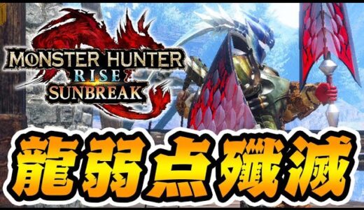 自称ベテランハンターY、片手剣が難しすぎて泣くｗｗｗ【モンハンサンブレイク】