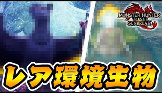 レア環境生物スゴすぎワロタｗｗｗｗ【モンハンサンブレイク】